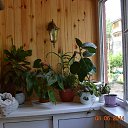 ���� �������, ������-���, 68 ��� - ��������� 8 ���� 2014 � ������ ���� ������ ��Ļ