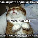 ���� ������, �������, 37 ��� - ��������� 1 ������� 2014 � ������ ���� ����������