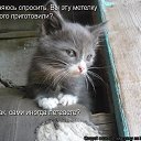 ���� ��������, ������ - ��������� 12 ���� 2014 � ������ ������ ��������