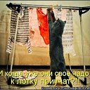  , - -  17  2014    .