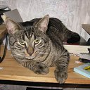 ����� ������������ ��������. �� ������� �����������ۻ