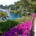 Portofino - Liguria - Italia.   Liguria - Italia