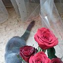 ���� �����, ������, 44 ���� - ��������� 19 ����� 2014 � ������ ���� ������� �������