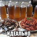 ���� ���������, ������, 58 ��� - ��������� 17 ������� 2014 � ������ ������ ��������