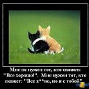 ���� �������, �����, 53 ���� - ��������� 1 ���� 2014 � ������ ������ ��������