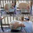 ���� Igor, �����-���������, 61 ��� - ��������� 2 ������� 2014 � ������ ������ ��������