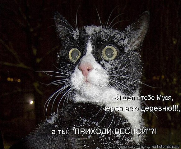 (  ,   - 29  2014  19:22