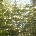 ���� ����, �����������, 51 ��� - ��������� 21 ���� 2014 � ������ ���� ����������