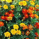 ������ 2014 �� ������� �"...�� ������ ������..."�