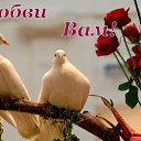 ��� ���� ������� �� ������ �� ���...�� ��� ������ ��� �� � ����������! ���� ������ - ����-������ ������! ������ ������ - ���-�� ���� �������! �� ������� ������ ��������