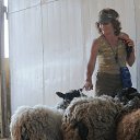 ���� ���������, �����-���������, 71 ��� - ��������� 1 ������� 2014 � ������ ���� ����������