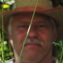 Zhil, �����������, 60 ���