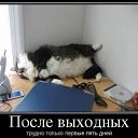 ���� Vladimir, ���������, 57 ��� - ��������� 20 ��� 2014 � ������ ������ ��������