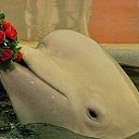 ���� �������, �����������-��-����� - ��������� 19 ��� 2014 � ������ ������ ��������