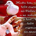 ���� �..., ���������, 28 ��� - ��������� 11 ���� 2014 � ������ ������ ��������
