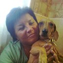 ���� ��������, �������� - ��������� 31 ����� 2014 � ������ ���� ����������