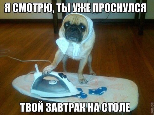 �������������� �� ���� �������� fotostrana.ru/public/232473 ������ ������� ))