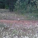 ���� ���������, �����, 40 ��� - ��������� 31 ���� 2014 � ������ ��