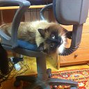 ������ �� ������� ������ �� ������� ���� ����������