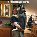 ���� ����, �������, 63 ���� - ��������� 10 ������� 2014 � ������ ������ ��������