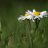 ���� ������, ������ - ��������� 10 ���� 2014