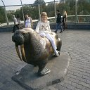 ���� �����, ������, 46 ��� - ��������� 9 ��� 2014 � ������ ���� ����������