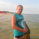 ���� �������, �������, 44 ���� - ��������� 3 ������ 2014 � ������ ���� ����������