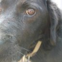  ,  , 58  -  22  2014    