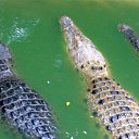 ���������))) �� ������� �������� 2014�