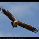 ���� ~*~*Svetlana*~*~, �������� - ��������� 13 ������� 2014