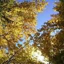 ���� ���������, ���������, 38 ��� - ��������� 25 ������ 2014 � ������ ����������