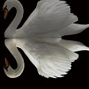 ���� �������, ����������, 73 ���� - ��������� 13 ���� 2014 � ������ ������ ��������