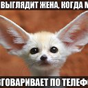 ���� ����, �����-��������� - ��������� 27 ���� 2014 � ������ ������ ��������