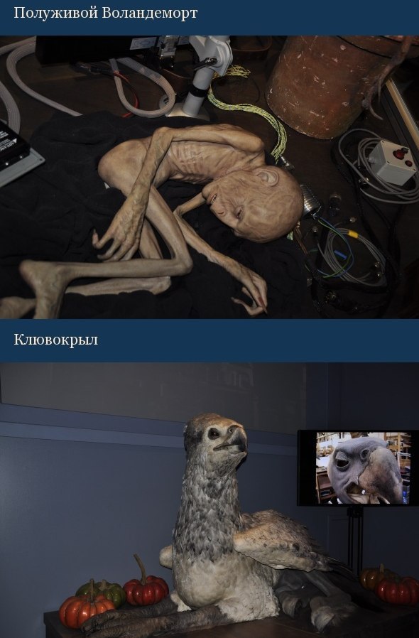   ,    . - 10