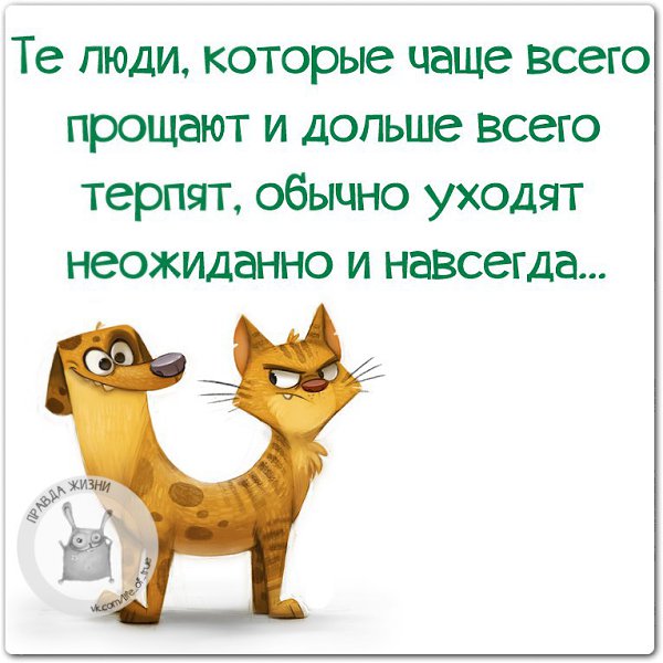 ������ ����� - 22 �������� 2014 � 22:13