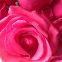 ���� �������, ������ - ��������� 22 ������ 2014 � ������ �����ۻ