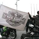 ���� Ser, �����������, 38 ��� - ��������� 25 ������ 2014 � ������ ���� ����������