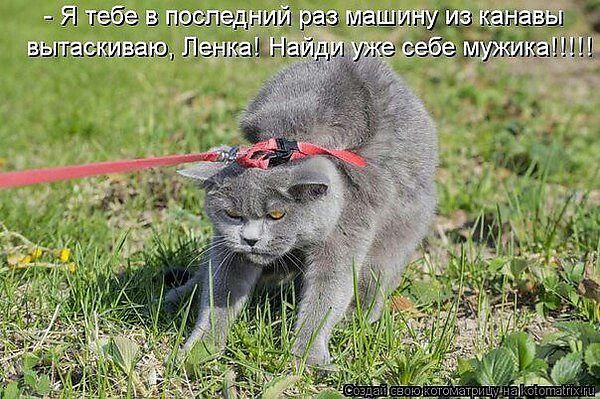 ,  !!! fotostrana.ru/public/237440/?      : ...