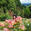 Rosengard
��� ���� �������� �� ������� ���� ����������