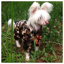 Lidiya, ������, 61 ���