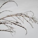  ,  -  21  2014    2014