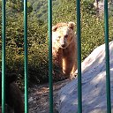 �������� �����! �� ������� ���� ����������