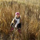 ���� �������, �����������, 71 ��� - ��������� 19 �������� 2014 � ������ ���� ����������