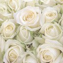 ���� .������., ������ - ��������� 29 ������� 2014 � ������ �5�