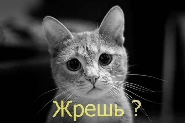  - 20  2014  00:03