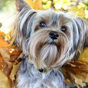 ���� �����, ����� - ��������� 16 ������� 2014 � ������ ������