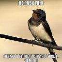 ���� �������, ������������, 39 ��� - ��������� 18 ������� 2014 � ������ ����������� ����� ������������