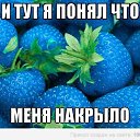 ���� �����, �������, 32 ���� - ��������� 3 ������� 2014 � ������ �����