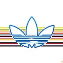 ���� �������, ������������, 41 ��� - ��������� 20 �������� 2014 � ������ ���������