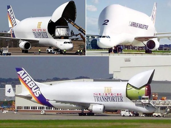 Очень удивительный по форме, один из самых больших- грузовой самолет Airbus A300-600ST.